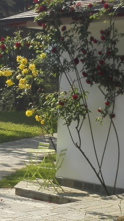 Caterina.C B&B Val della Torre Exterior photo
