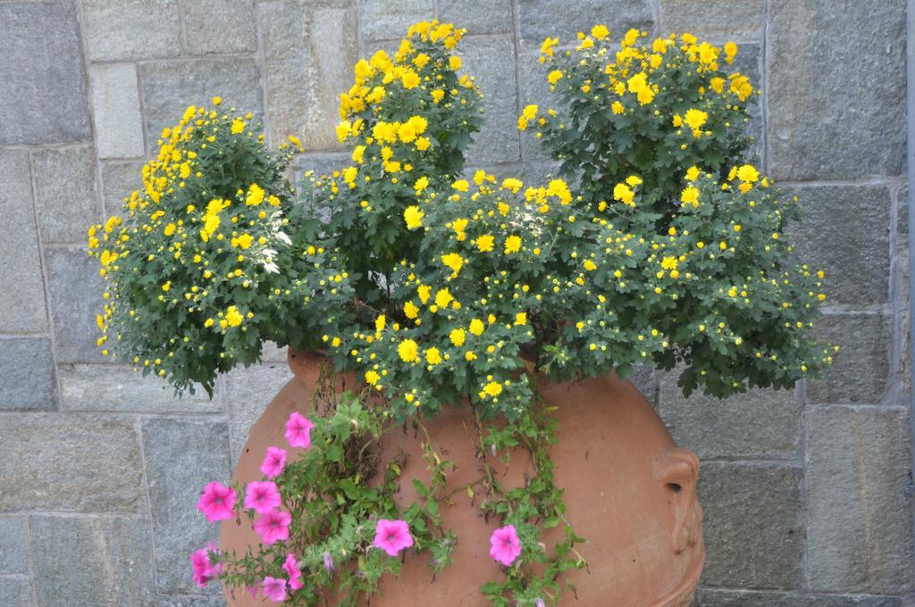 Caterina.C B&B Val della Torre Exterior photo